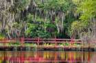 USA, South Carolina, Charleston, Magnolia Plantation. Bridge reflected in water and mossy forest. Art Print
